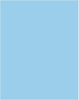 Cornflower
